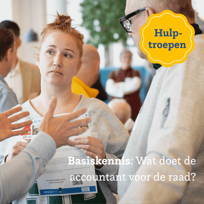 Artikel de Accountant basiskennis