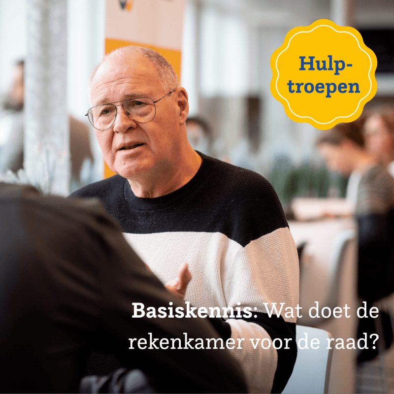 Artikel de Rekenkamer