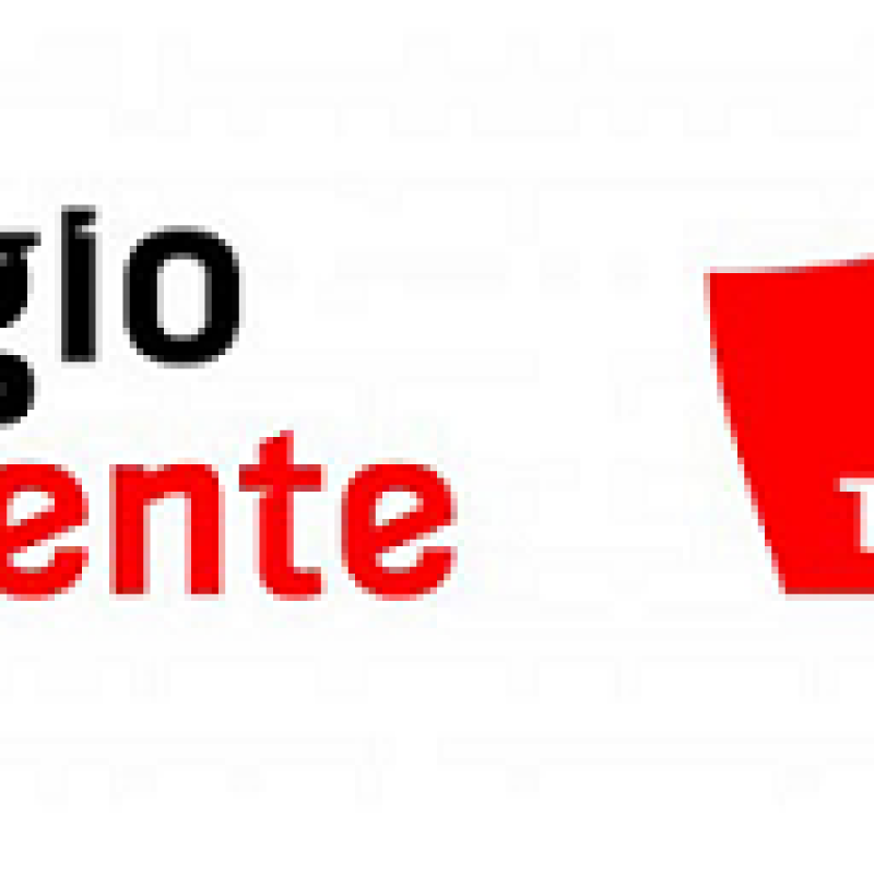 logo regio twente 0