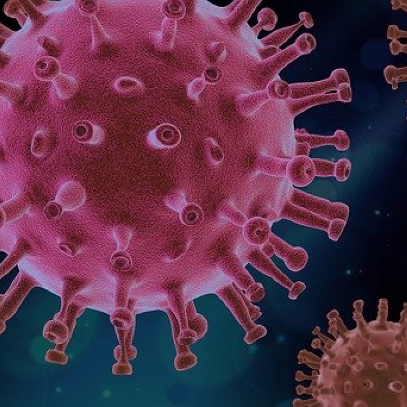 virus 4937553 640